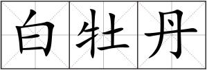 白牡丹