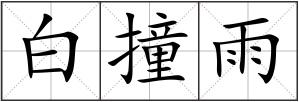 白撞雨