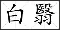 白翳
