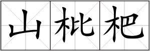 山枇杷