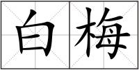白梅