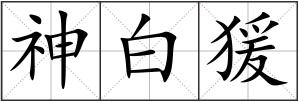 神白猨
