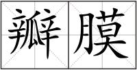 瓣膜