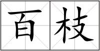 百枝