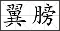 翼膀