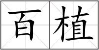 百植