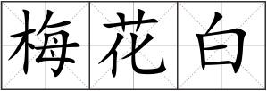 梅花白