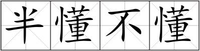 半懂不懂