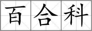 百合科