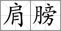 肩膀