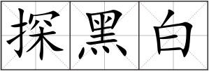 探黑白