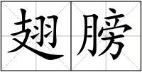 翅膀