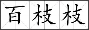 百枝枝