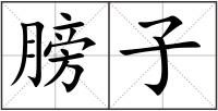 膀子