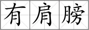 有肩膀