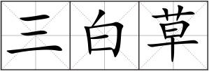 三白草