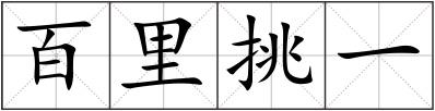 百里挑一
