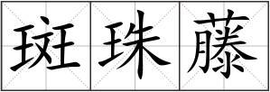 斑珠藤