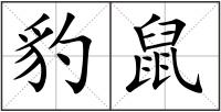 豹鼠