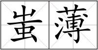 蚩薄