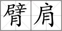 臂肩