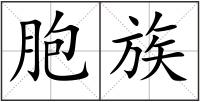 胞族