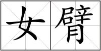 女臂
