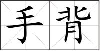 手背