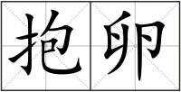 抱卵