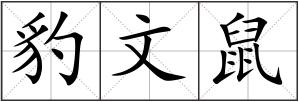 豹文鼠