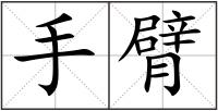 手臂