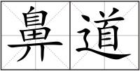 鼻道