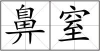 鼻窒