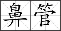 鼻管