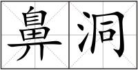 鼻洞