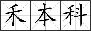 禾本科