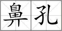 鼻孔