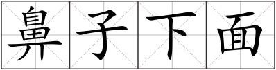 鼻子下面