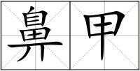 鼻甲