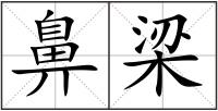 鼻梁
