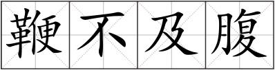 鞭不及腹