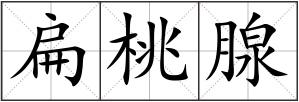 扁桃腺