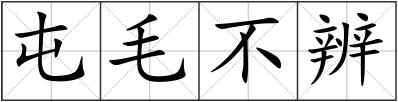 屯毛不辨