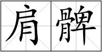 肩髀