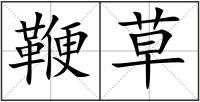 鞭草