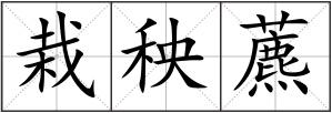 栽秧藨