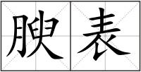 腴表