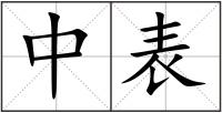 中表