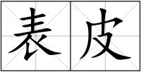 表皮
