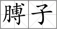 膊子